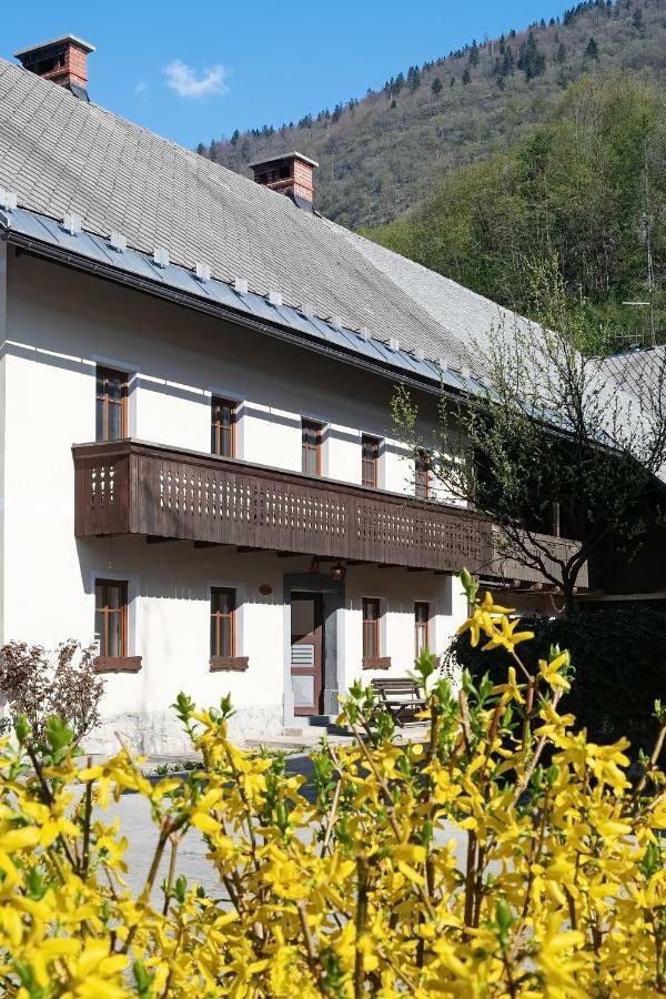 Pr'Mruzo Apartmaji Bohinj Exteriör bild